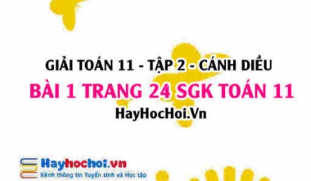 Bài 1 trang 24 Toán 11 tập 2 Cánh Diều